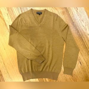 Express V neck Merino Sweater, Men’s Small